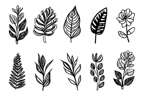 Botanical Leaf Wildflower Line Art for Graphics and Illustrations