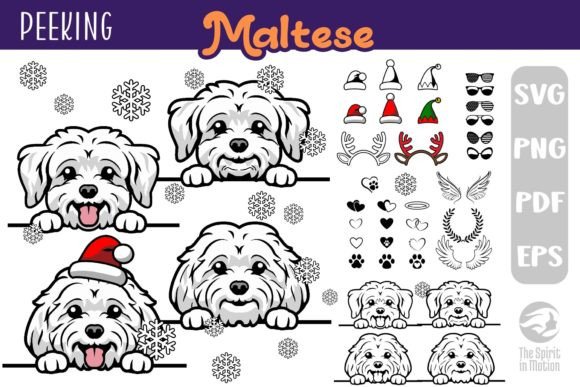 Peeking Maltese SVG, Clipart Cutfile for Graphics & Crafts