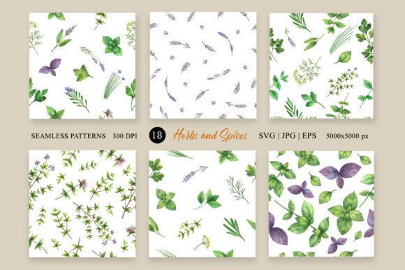 Watercolor Herbs Digital Papers Pack for Graphics & Illustrations
